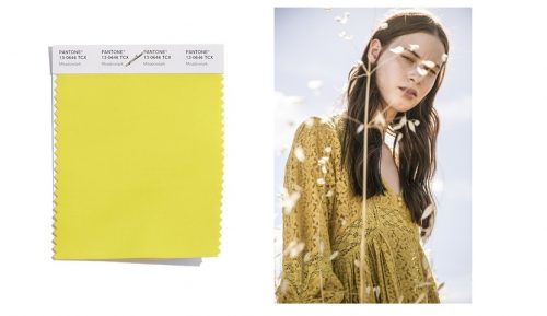 180404-meadowlark