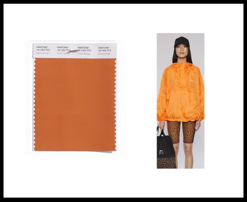 PANTONE MIKONOS MODA