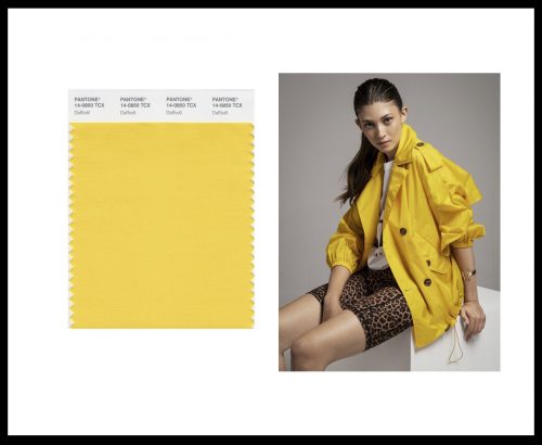 PANTONE MIKONOS MODA